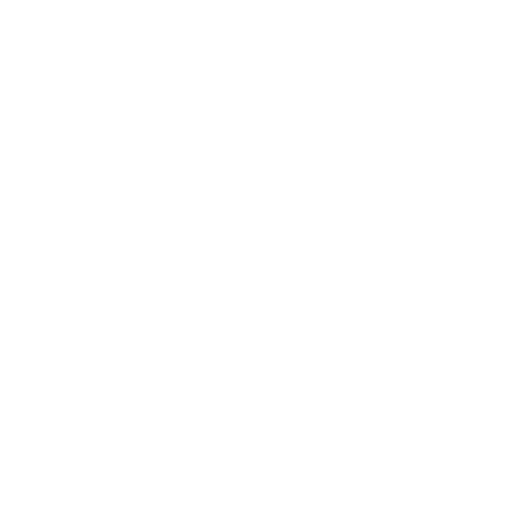 aniket web studio logo white